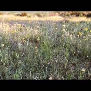 Meet your Posher, Hayley